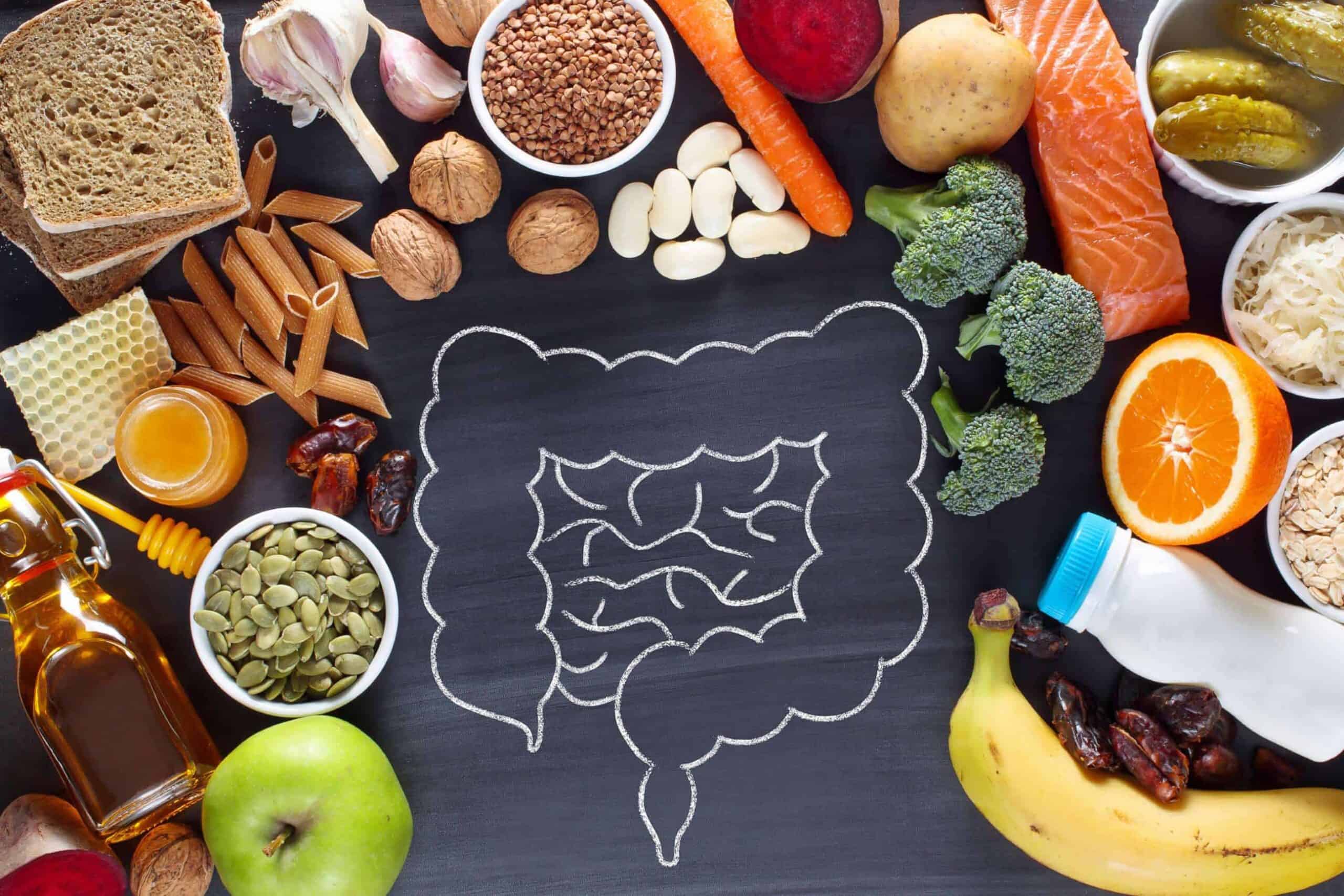 The Connection Between Gut Health And Spine Inflammation